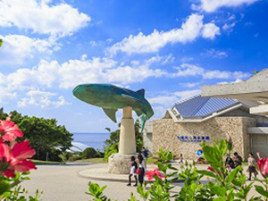 沖縄美ら海水族館