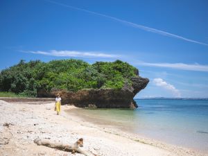 浦添地域クーポン