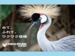 ネオパークオキナワ